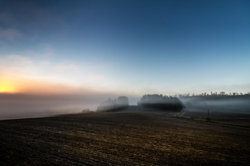 dawn on a field