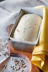 Raw yeast dough in tin form, ready for baking bread with sunflower seeds