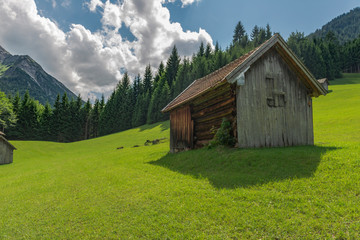 Obraz premium Berghütte auf einer Wiese in den Allgäuer Alpen