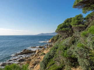 Le cap Lardier. La Croix Valmer. Plage Jovat le long du sentier littoral