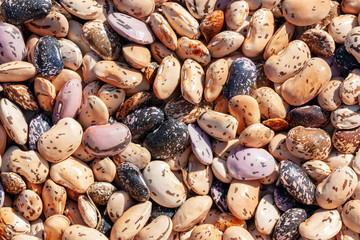 Kidney beans background