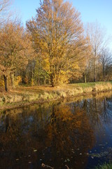 Fototapeta premium Herbst an der Niers bei Grefrath