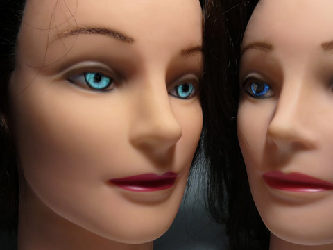 Donna robot
