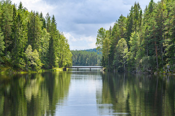 A bridge over a quiet lake, framed between dense fir forests