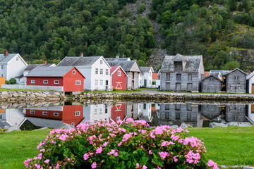 Fototapeta na wymiar The old town of Gamla Lærdalsøyri is reflected in a calm and clear lake with a colourful flower - a typical village in Norway.