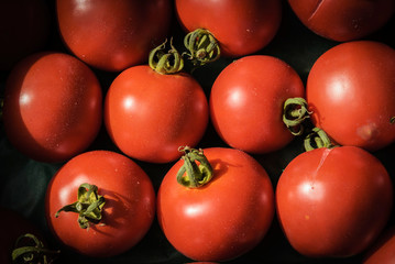 Reportage Légumes Bio