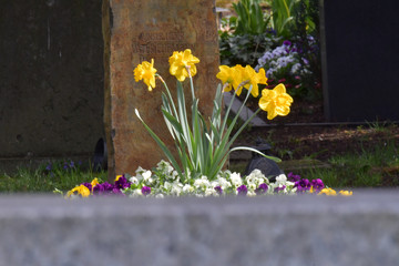 A gravestone on a cemetery with fresh yellow flowers