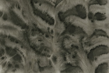  Black with grey ink texture with abstract washes and brush strokes on white watercolor paper background.