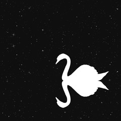 Obraz na płótnie Canvas Swan on lake in park at night. Vector illustration with silhouette of beautiful bird reflected in water under starry sky. Inverted black and white