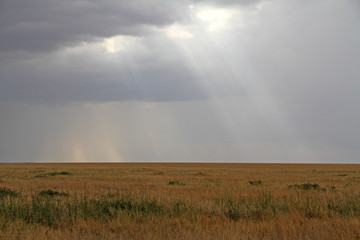 Fototapeta na wymiar Serengeti Grasslands and Sun Beams