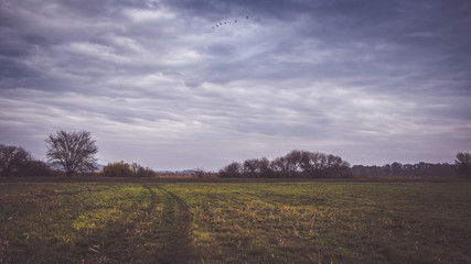 Naklejka premium Herbstlandschaft