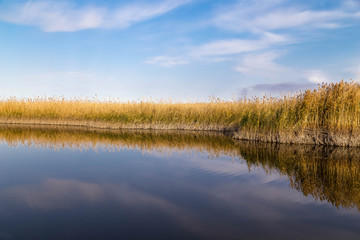 A beautiful river with reed on its shore and its reflection on the water.