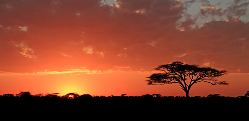 Sunrise over the Serengeti