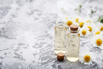 Bottle of chamomile oil with flowers on grey background