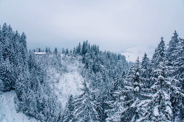 Fototapeta premium Winter landscape in the mountains.