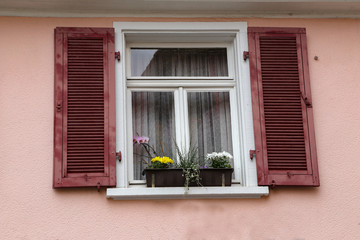 Windows with shutters. Flowers on the windowsill.