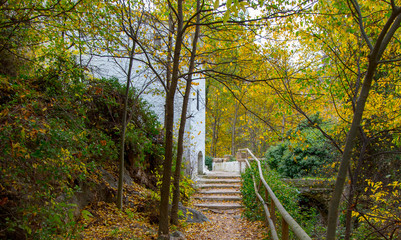 Paisaje en un bosque con la llegada del otoño en el que la caída de las hojas deja una hermosa y espectacular vista.