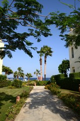 Jardins privés à Marsa Alam (Egypte)
