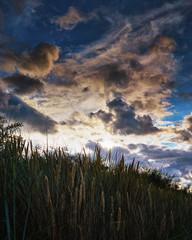 Beach grass under a dramatic sky with clouds and sunshine in the background.