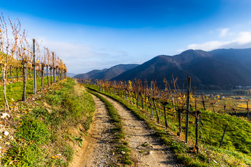 Rural road in Weissenkirchen in der Wachau. Lower Austria.