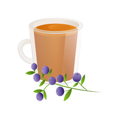 Delicious natural tea with blueberries in a beautiful transparent cup.