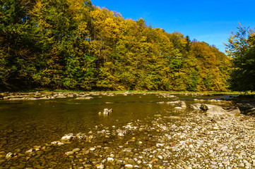 Fototapeta premium Bieszczady Mountains, Rajskie Poland, San river, view on streem in sunny autumn day. 