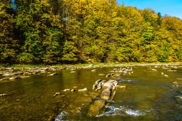 Fototapeta premium Bieszczady Mountains, Rajskie Poland, San river, view on streem in sunny autumn day. 