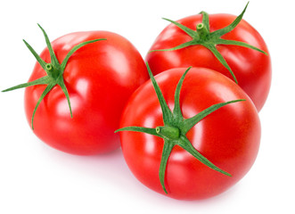 Fresh tomatoes on white background