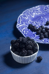 blackberries in white bowl on dark blue background, stylish food photo