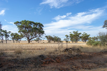 Arid and desertic landscape of Perth outback