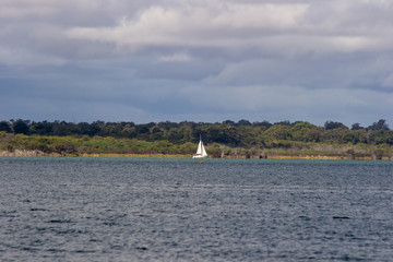 Landscape of swan river and sailing boat