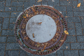 Laub verstopfter Schacht
