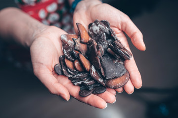 Burned gingerbread cookies