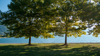 Ufer und Strand vonDongo, Ortsteil von Gravedona, mit Blick über den See, in Richtung Bellagio