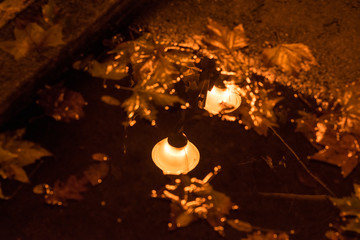 Reflection of a street lamp in a leafy puddle of water