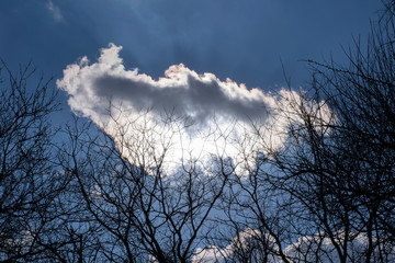 Rain cloud above bare branched trees in winter