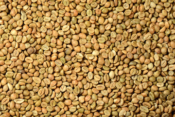 unroasted coffee texture