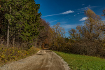 Path near nice autumn forest near Pitin village
