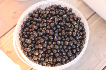 black berries in bowl on wooden background