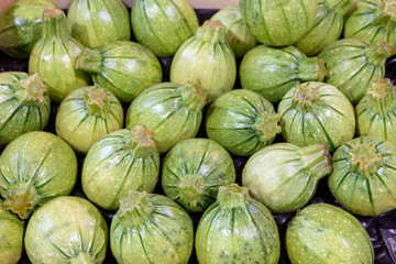 Raw and fresh zucchini texture