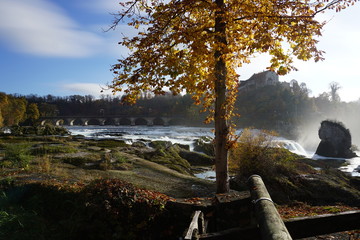 rheinfall brücke
