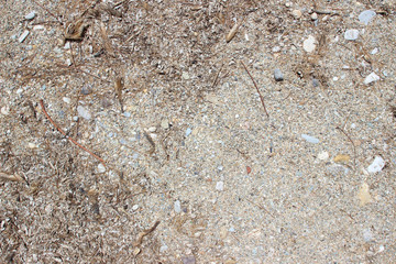 Beach sand pebbles stones close up surface texture horizontal detail abstract