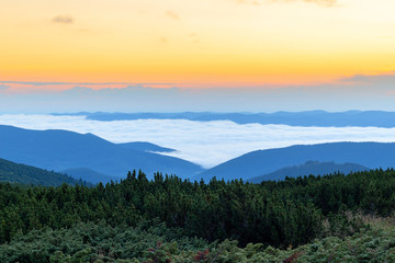 Fototapeta na wymiar Sunrise on the top of Carpathian mountains over the clouds, awesome nature landscape in early morning