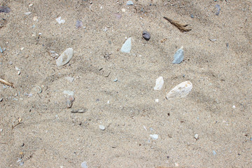 Beach sand pebbles stones close up surface texture horizontal detail abstract