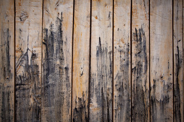 Wood background or texture