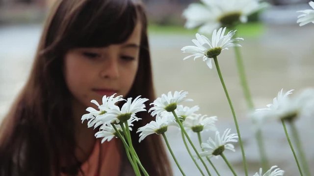 Pretty Caucasian brown-haired girl in casual clothes sitting near white flowers and smelling camomiles. Close-up. Beauty of nature. Outside.