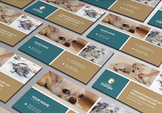 Business Card Layout with Tan and Blue Elements