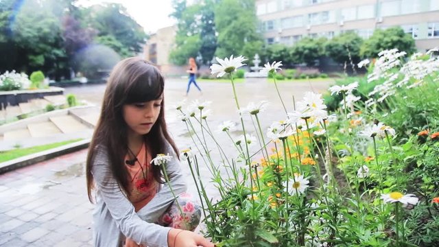 Cute little girl wearing casual clothes sitting near flower bed full of camomiles, touching plant. Rainy weather in spring. Town. Daytime. Outdoors.