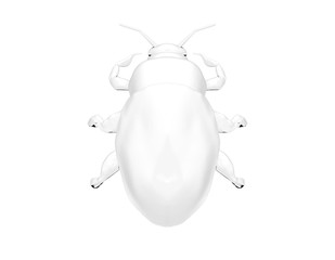 beetle ordinary. character. coloring. black and white image.