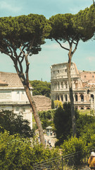 Fototapeta premium The colosseum